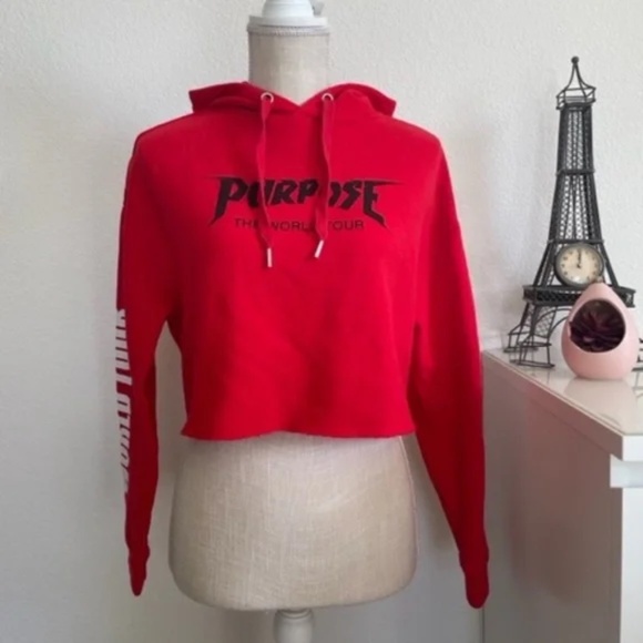 Justin Bieber x Divided H&M | Purpose World Tour Cropped Hoodie | Size XS - Picture 2 of 9